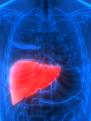 Liver Disease | What are Hepatic Disease Symptoms?